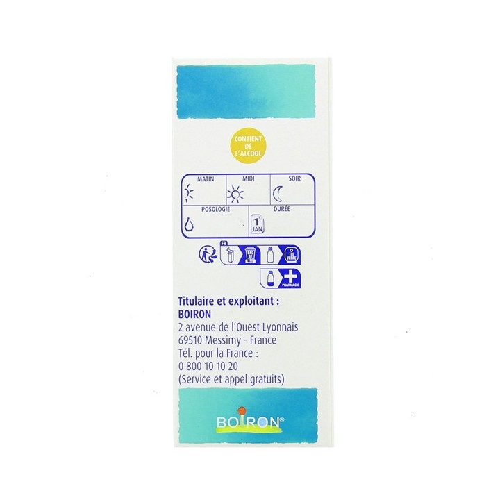 Ribes Nigrum Bourgeons Gouttes, Boiron, dilutions 1DH - IllicoPharma