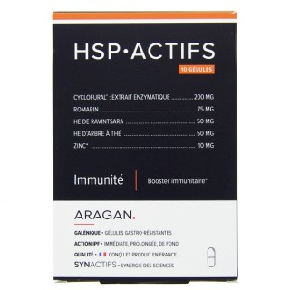Synactifs HSPActifs x10 gélules – Aragan – IllicoPharma