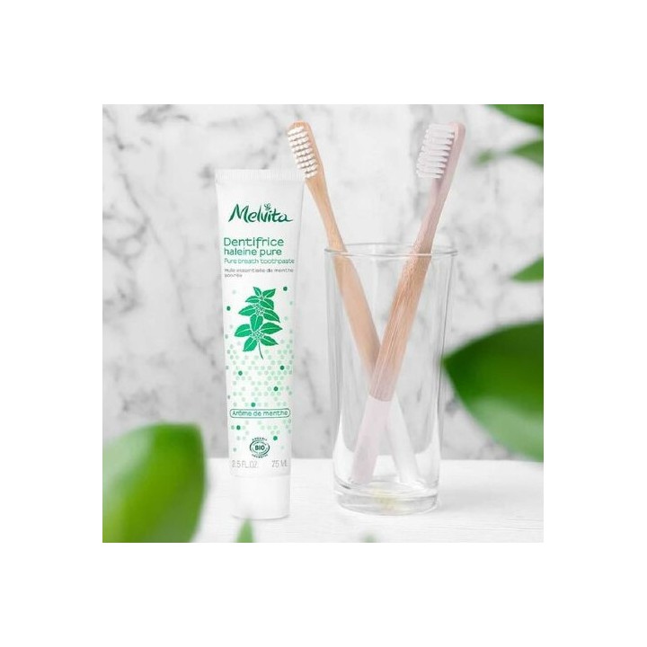 Dentifrice Haleine Pure Bio 75ml – Melvita – IllicoPharma