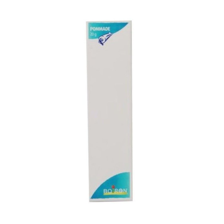 Pommade homéopathique Boiron PEAU 5CH - IllicoPharma