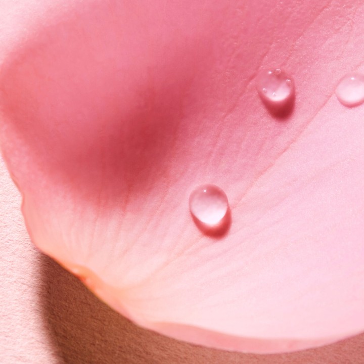 Very Rose Eau Voluptueuse Parfumante 100ml – Nuxe – IllicoPharma