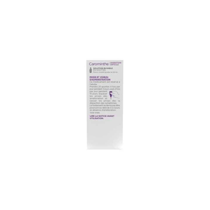 Carominthe 90ml Lehning - Digestion difficile