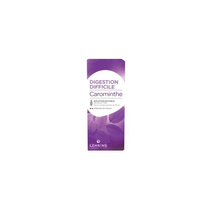 Carominthe 90ml Lehning - Digestion difficile