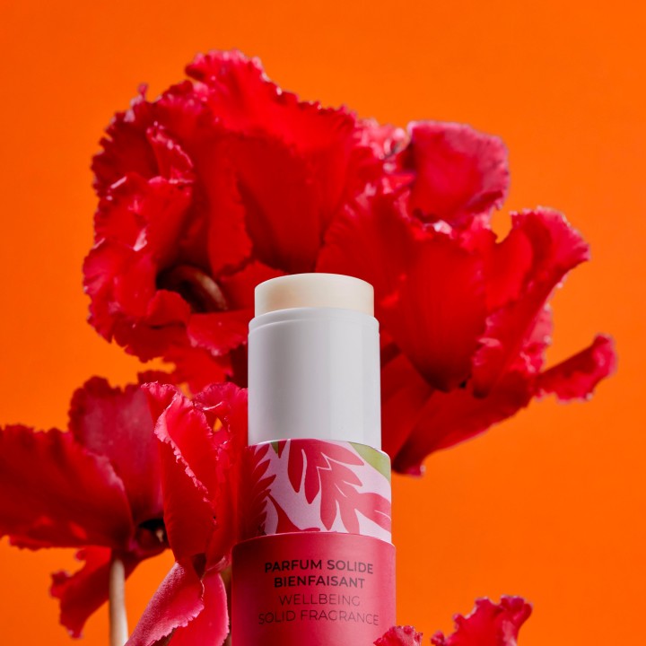 Parfum Solide Bienfaisant Gingembre Rouge 5g – Roger & Gallet – IllicoPharma