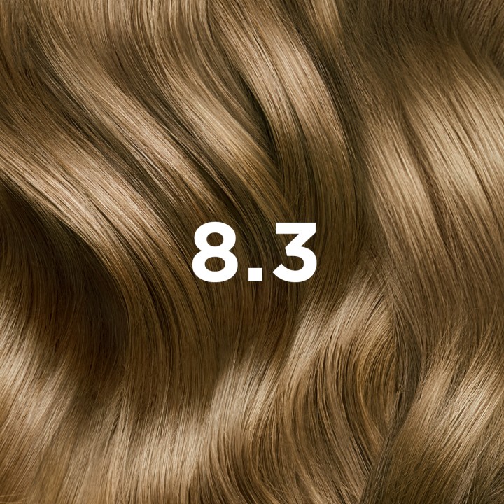 Phytocolor N°8.3 Blond Clair Doré Kit coloration permanente - Phyto - IllicoPharma