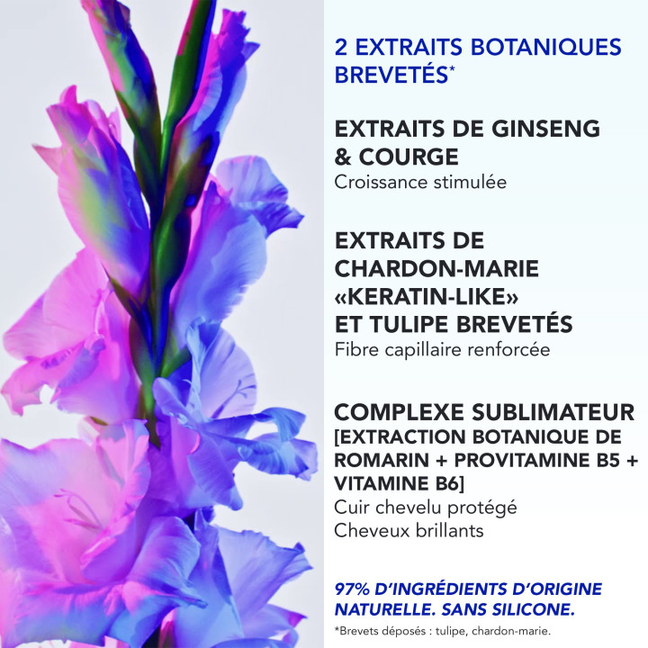 Phytophanère Ultra Sérum Boosteur de Longueur 50ml – Phyto – IllicoPharma
