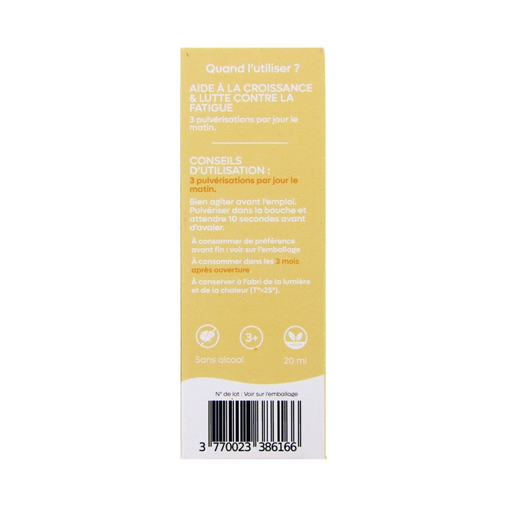 Spray Sublingual Kids Multi Vitamines 20ml – Les Bienfaits – IllicoPharma
