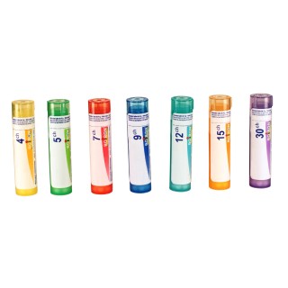 PYRETHRUM Granules - Boiron - dilutions CH,DH,MK - IllicoPharma