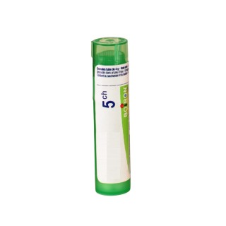 BEDEGUAR Granules - Boiron - dilutions CH,DH,MK - IllicoPharma