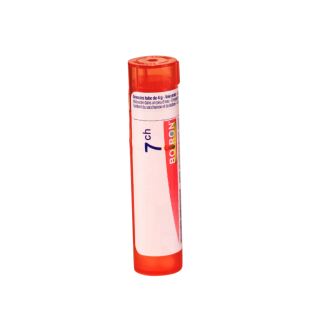 CALCAREA OXYDATA Granules - Boiron - dilutions CH,DH,MK - IllicoPharma
