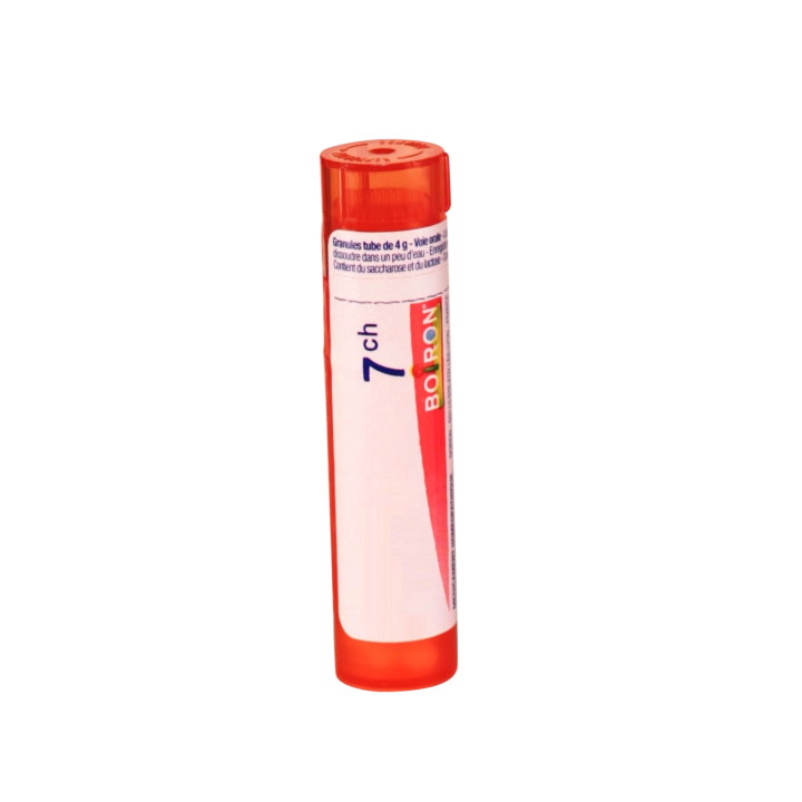 CALCAREA OXYDATA Granules - Boiron - dilutions CH,DH,MK - IllicoPharma