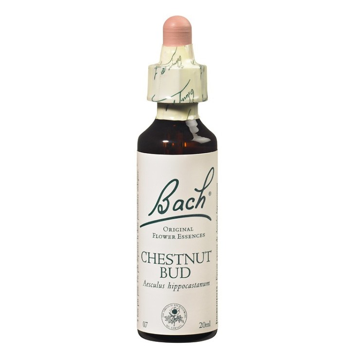 Fleurs de Bach Original Chestnut Bud 07 - Famademl - IllicoPharma