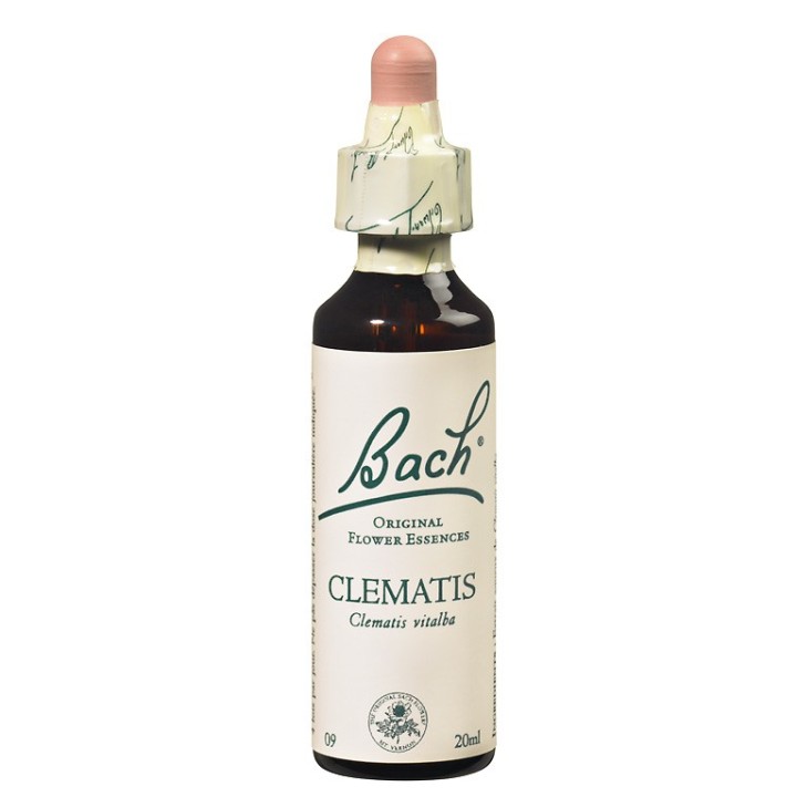 Fleurs de Bach Original Clematis 09 - Famademl - IllicoPharma