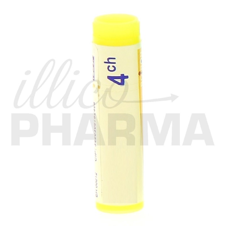 EUGENIA CARYOPHYLLATA Doses - Boiron - dilutions CH,DH,MK - IllicoPharma