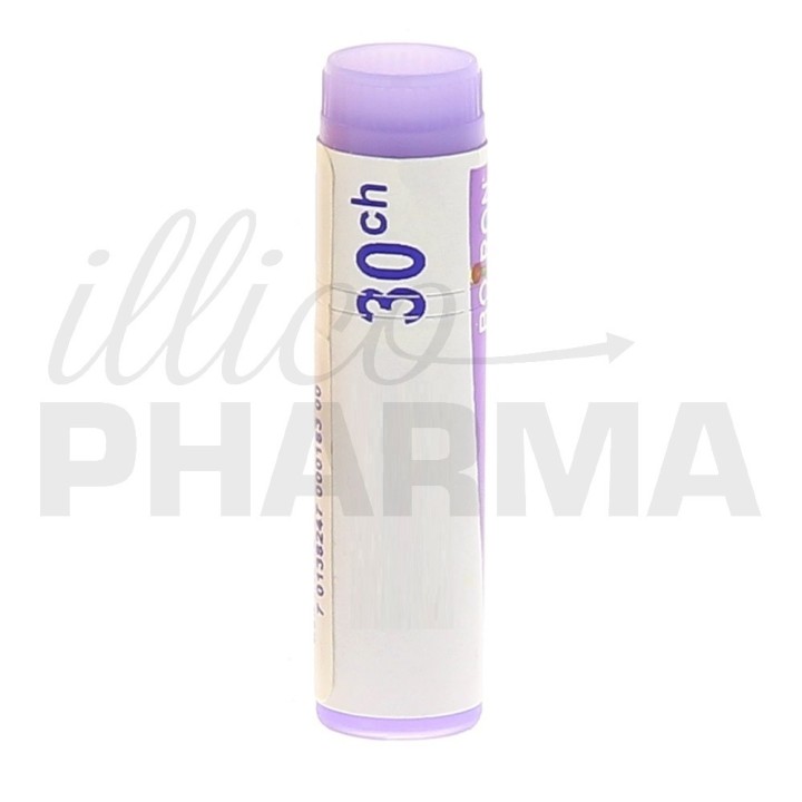 LONICERA NIGRA Doses - Boiron - dilutions CH,DH,MK - IllicoPharma