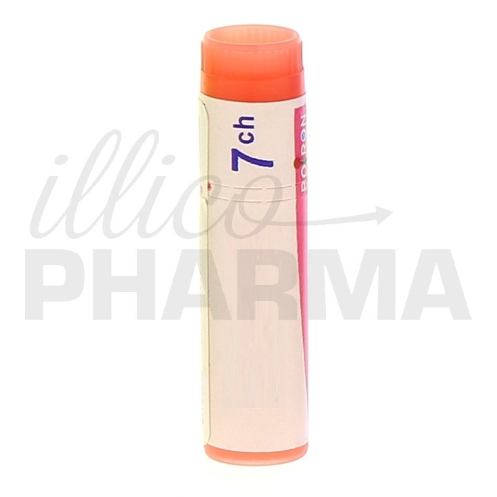 MEDULLINE Doses - Boiron - dilutions CH,DH,MK - IllicoPharma