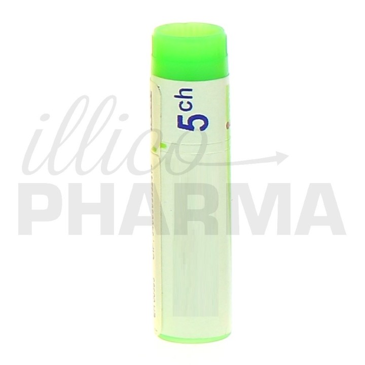 PETROLEUM Doses - Boiron - dilutions CH,DH,MK - IllicoPharma