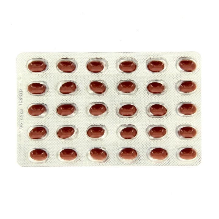 Ginkor Memo Capital cérébral x60 capsules Tonipharm