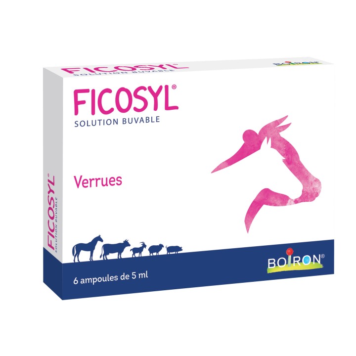 Ficosyl Ampoules 6x5ml - Boiron Véto - Produits vétérinaires