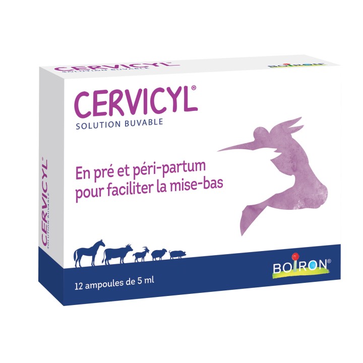 Cervicyl GA Ampoules 12x5ml - Boiron Véto - Produits vétérinaires - IllicoPharma