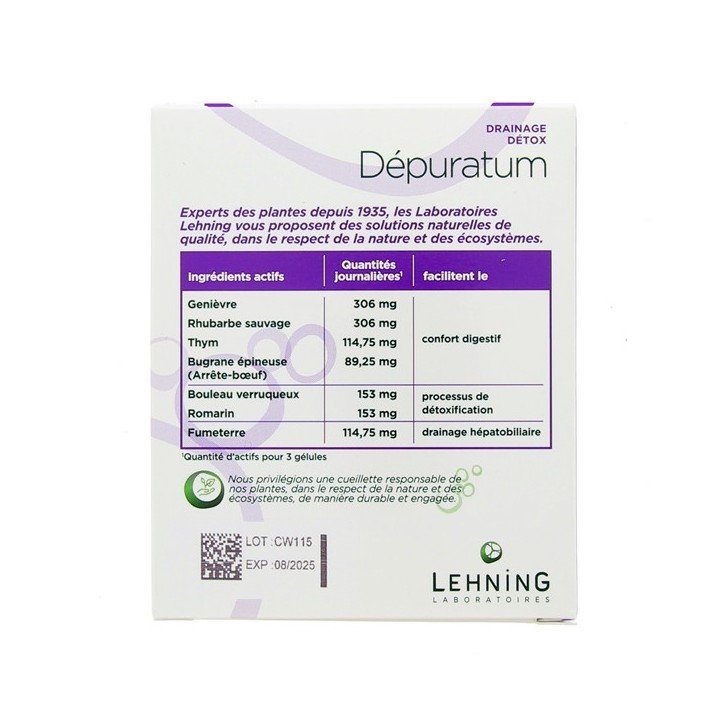 Depuratum Drainage Detox - Lehning - 60 gélules