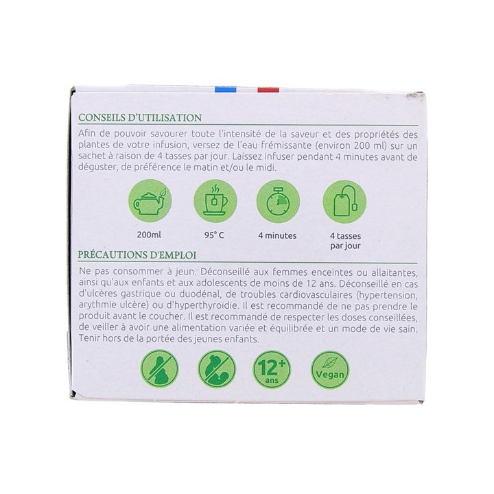 Infusion Thé Vert Bio - 20 sachets - Herbesan - IllicoPharma