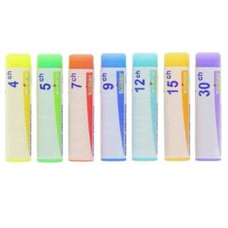 BAMBUSA Doses - Boiron - dilutions CH,DH,MK - IllicoPharma