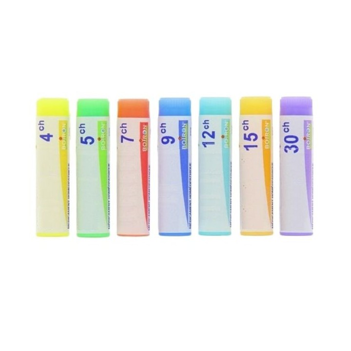 PROPOLIS Doses - Boiron - dilutions CH,DH,MK - IllicoPharma