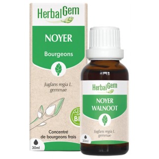 Noyer Bio 30ml Herbalgem - IllicoPharma