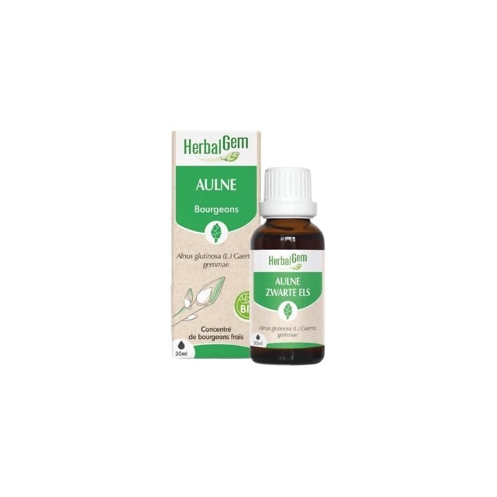 Aulne Bio 30ml Herbalgem - IllicoPharma