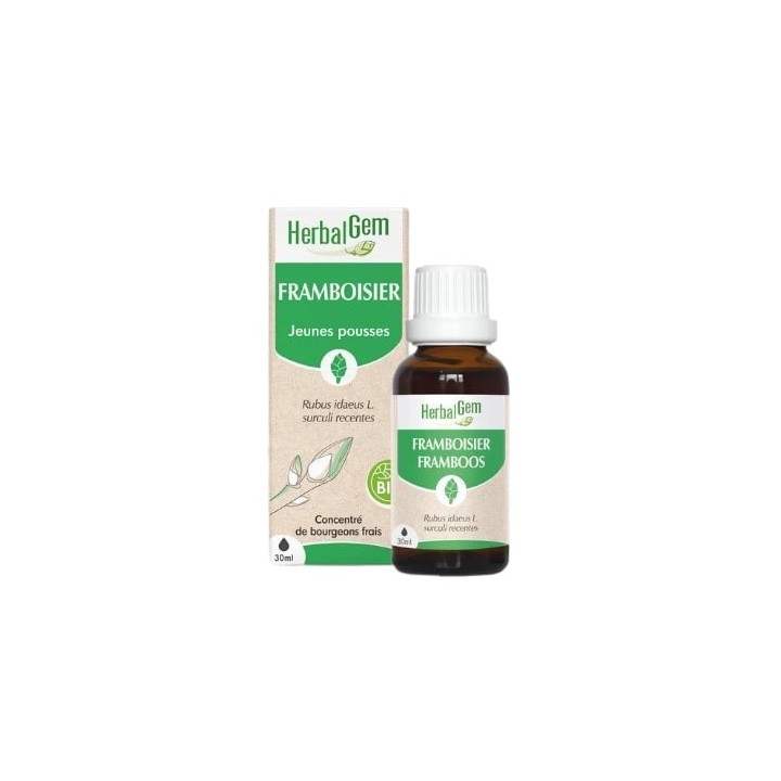 Framboisier Bio 30ml Herbalgem - IllicoPharma