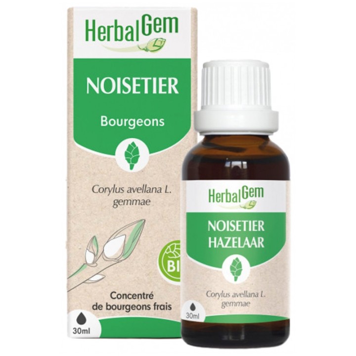 Noisetier Bio 30ml Herbalgem - IllicoPharma