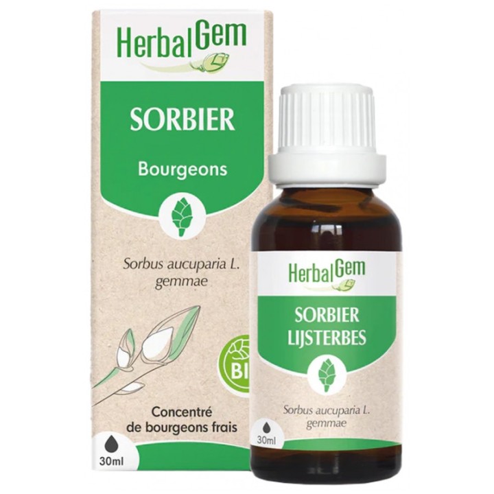 Sorbier Bio 30ml Herbalgem - IllicoPharma