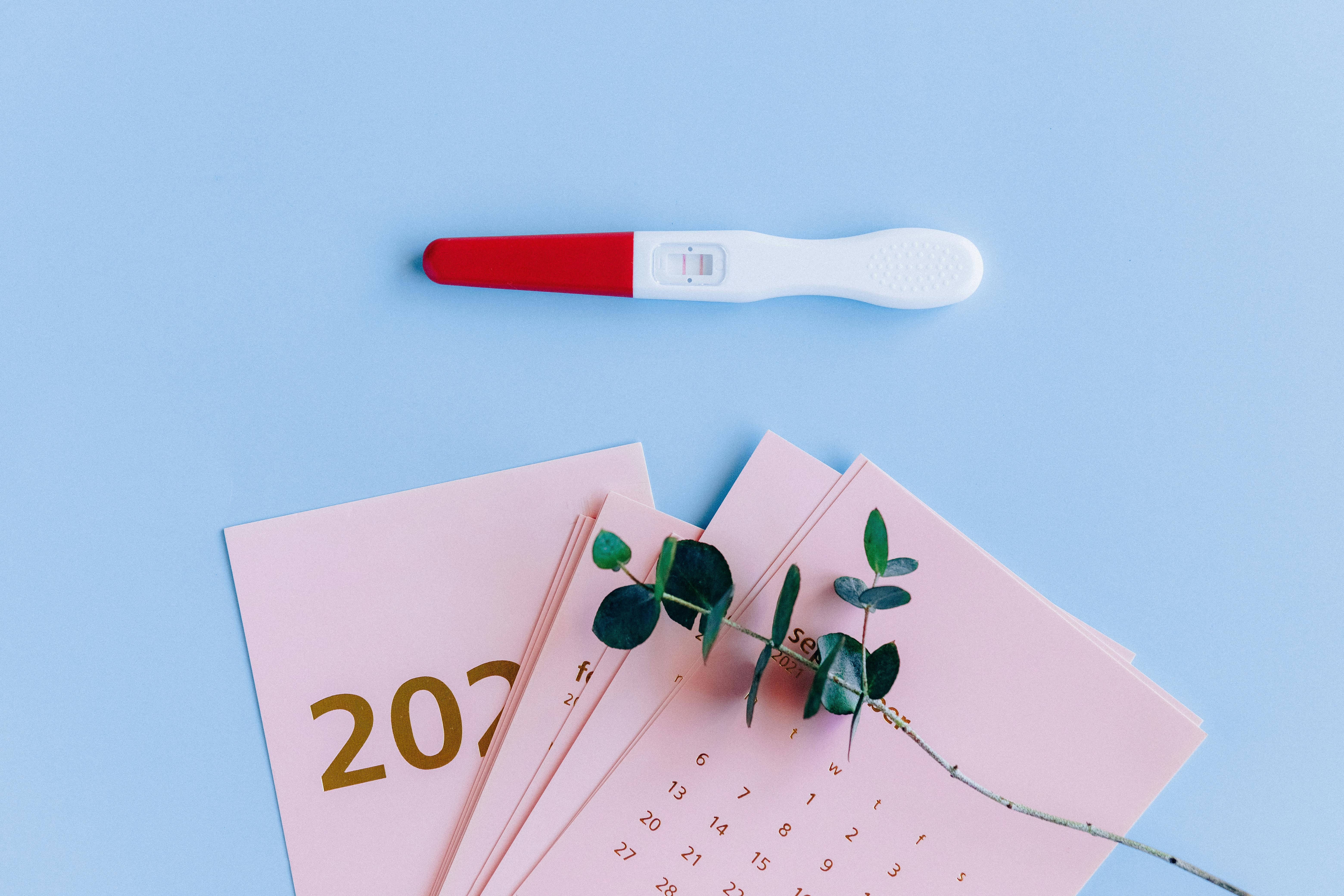 Fertilité, observation des cycles