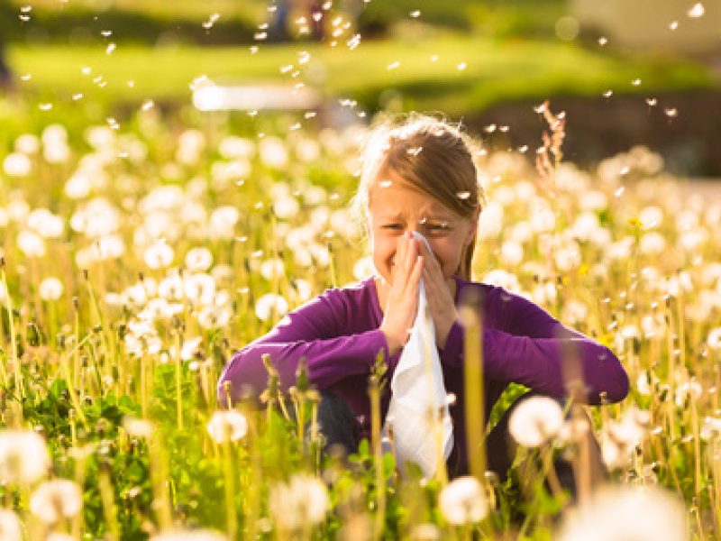 Comment traiter une allergie aux pollens?